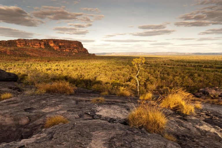 Australia Northern Territory Kakadu National Park 571519558