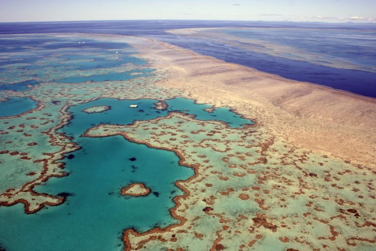 Australia Queensland Great Barrier Reef 77691871
