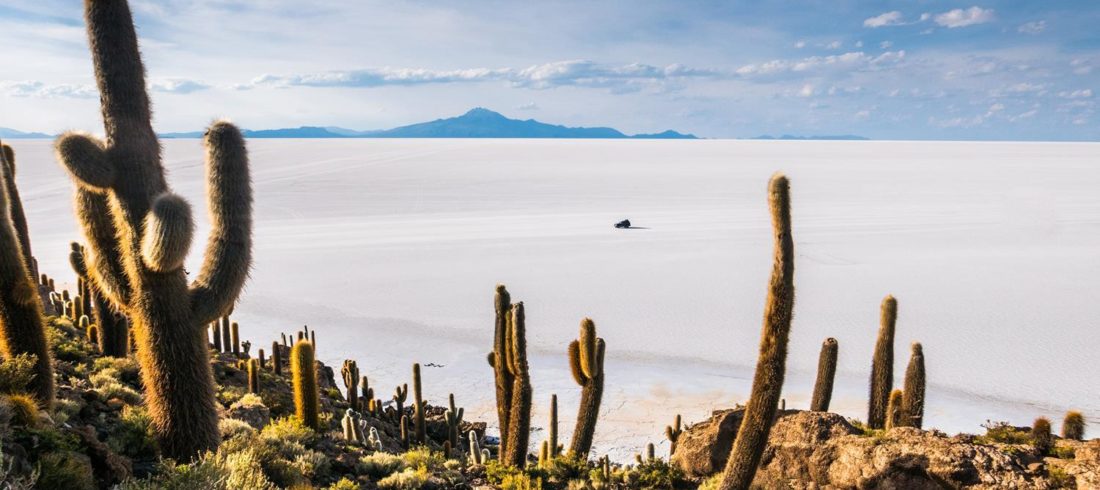 Bolivia Altiplano And Salar De Uyuni Isla Incahuasi 726377479