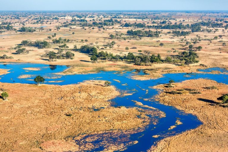 Botswana Okavango Delta 710183896