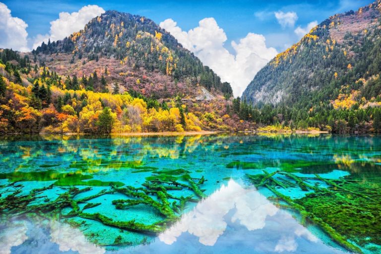 China Sichuan Jiuzhaigou National Park 575368849
