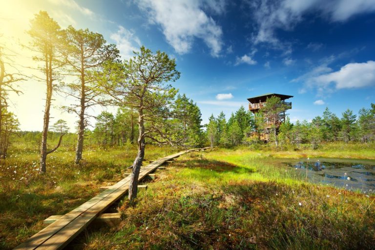 Estonia Lahemaa National Park 393129940