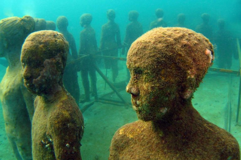 Grenada Underwater Sculpture Park 22716559