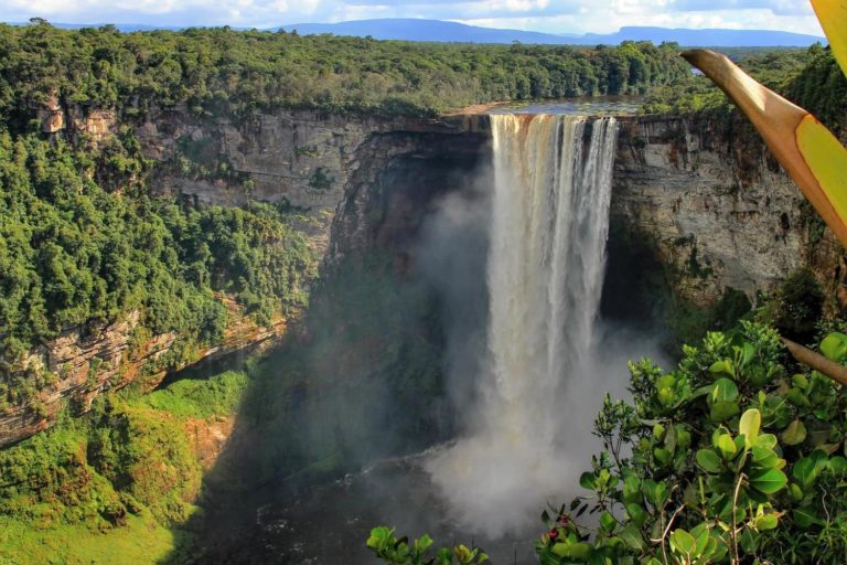 Guyana Kaieteur Falls 773729971
