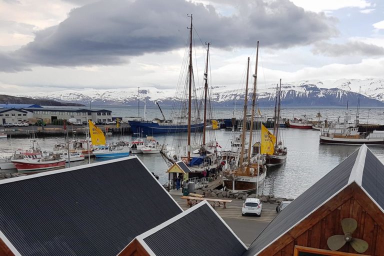 Iceland North Husavik 1