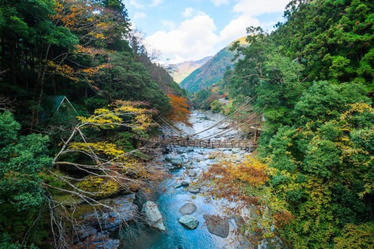 Japan Shikoku Iya Valley 634502780