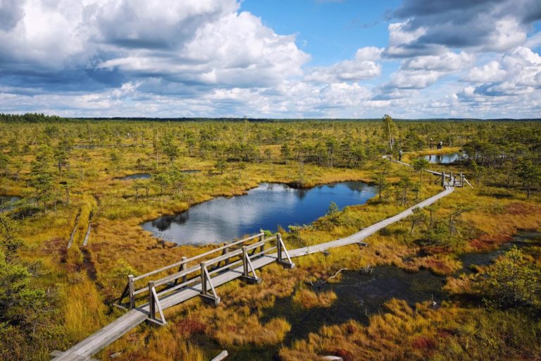 Latvia Jurmala Kemeri National Park 1186069954