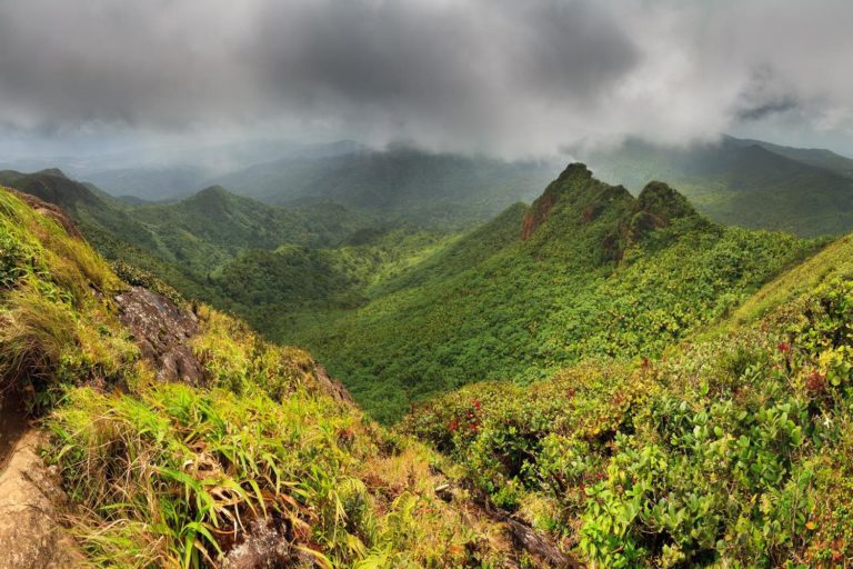 Puerto Rico El Yunque Rainforest 439702513