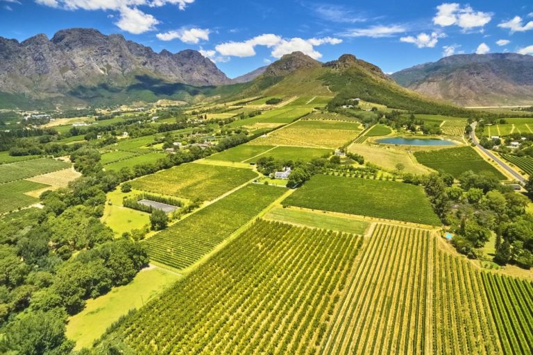 South Africa Winelands Franschhoek 643037299