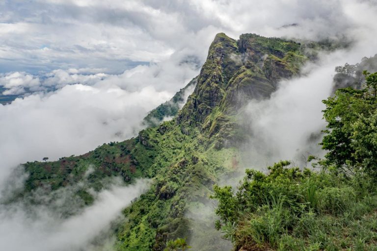 Tanzania Usambara Mountains 732246898