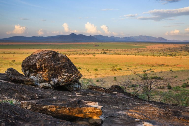 Uganda Kidepo Valley National Park 701304415