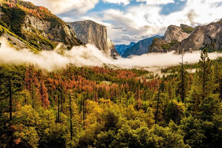Usa California Yosemite National Park P5kp98p