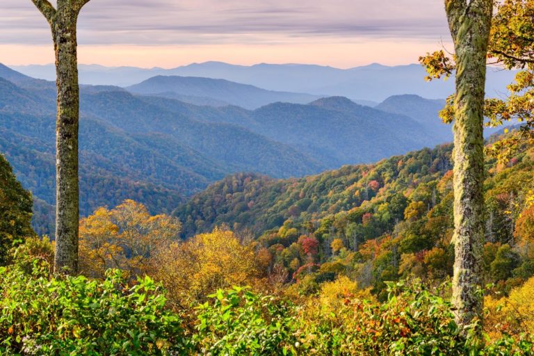 Usa The South North Carolina Great Smoky Mountains National Park P56qqs5