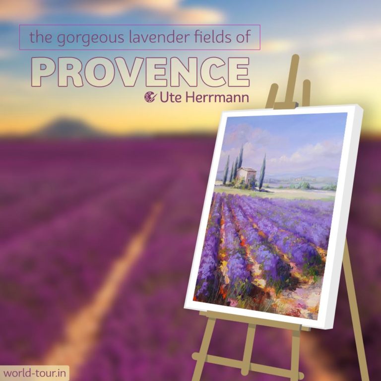 Instagram Story France Lavender Field Ute