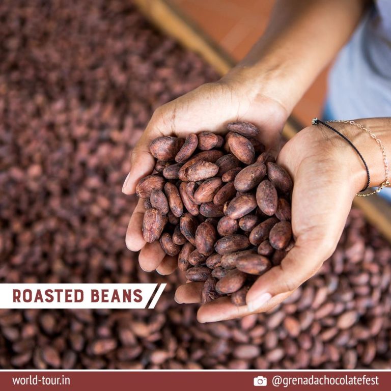 Instagram Story Grenada Chocolate 6 Roasted Beans