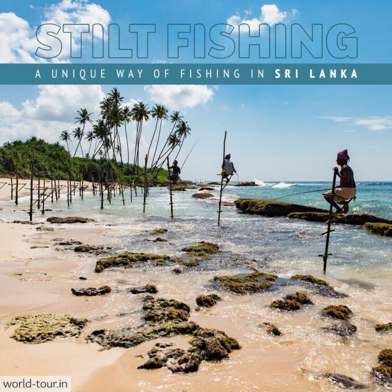 Instagram Story Sri Lanka Stilt Fishing