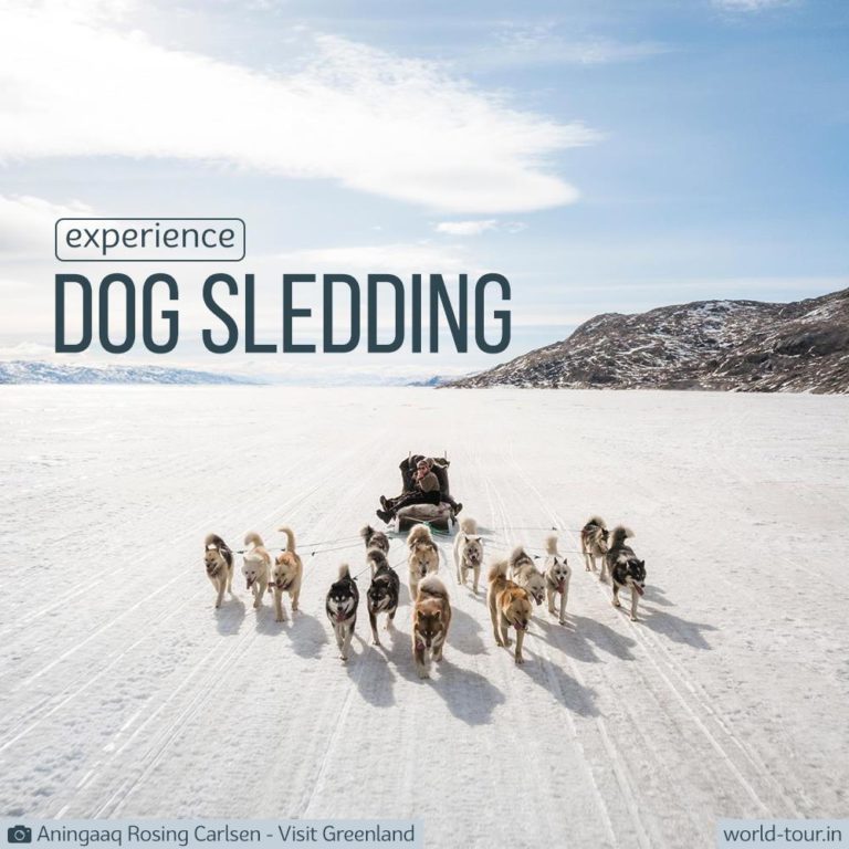Instagram Story Greenland Dog Sledding