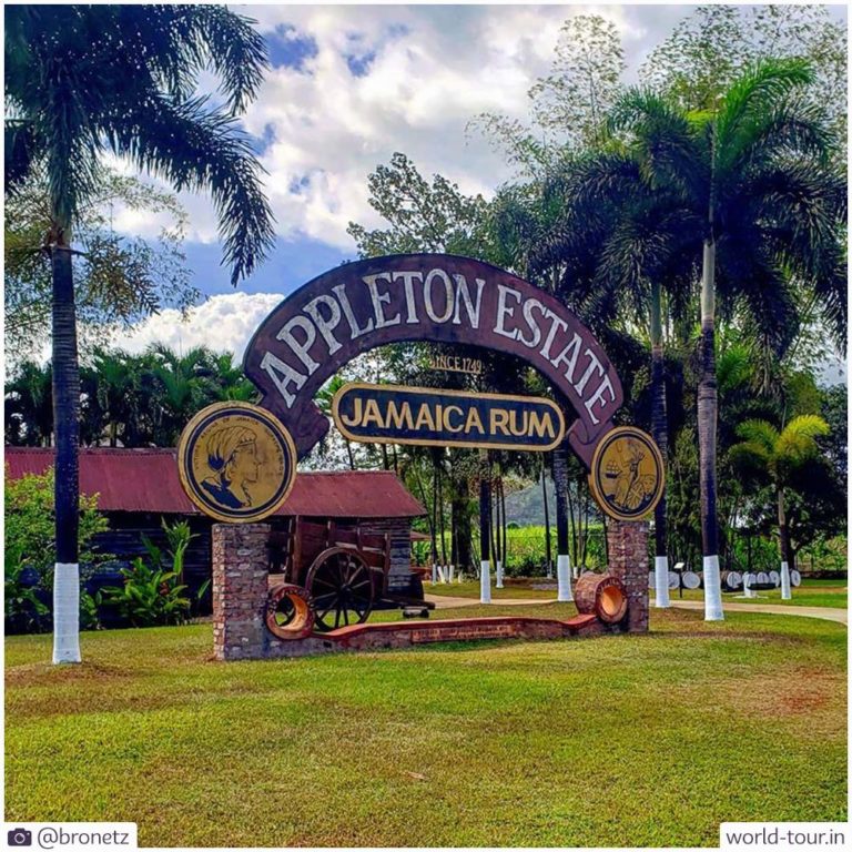 Instagram Story Jamaica Appleton Rum Estate