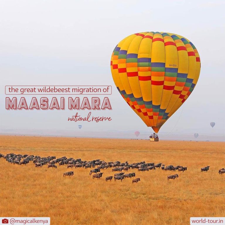 Instagram Story Kenya Maasai Mara