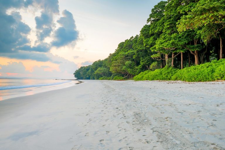 India Andaman And Nicobar Islands Havelock Island Radhanagar Beach C202010001